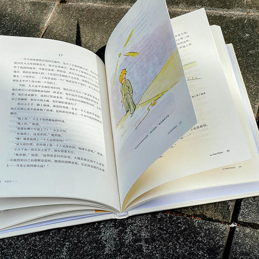 小王子 周克希译文选 世界名著 赠送精美藏书票 精装书籍 原版精美插图 商品图5