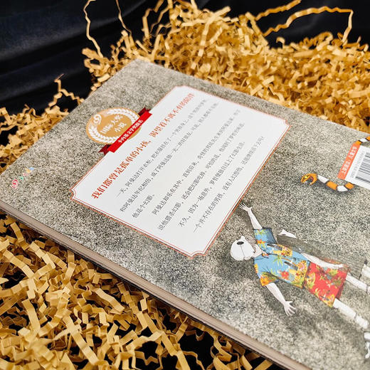 99国际大奖小说 阿曼达的幻影男孩 A.F.哈罗德 著 儿童文学 商品图1