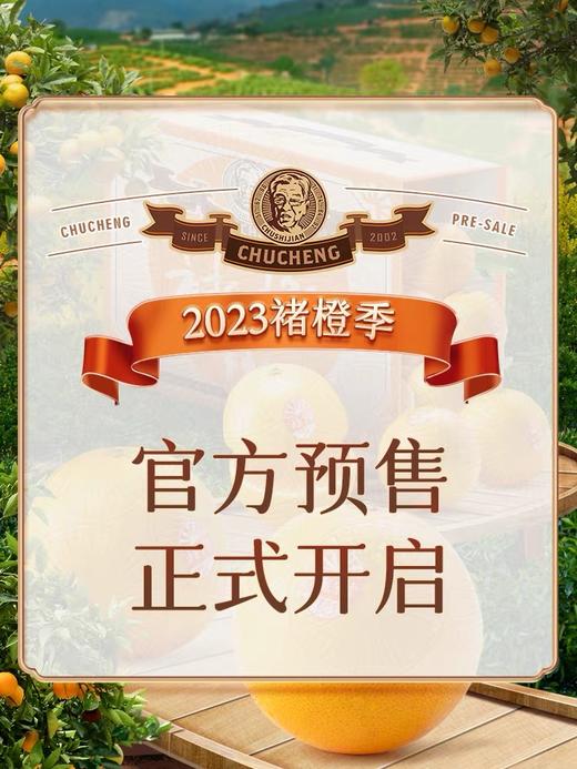 2025季励志橙珍品XXL10斤装一箱 商品图1