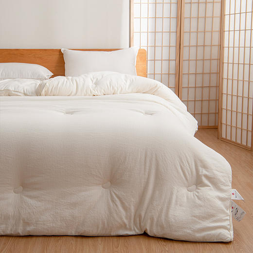 【提花大豆被】A类提花大豆纤维被纯色秋冬被芯加厚保暖棉被亲肤软被子 商品图3