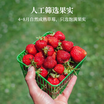 美茵塔尔德国进口无添加草莓酱340g早餐冰淇淋面包搭档 商品图1