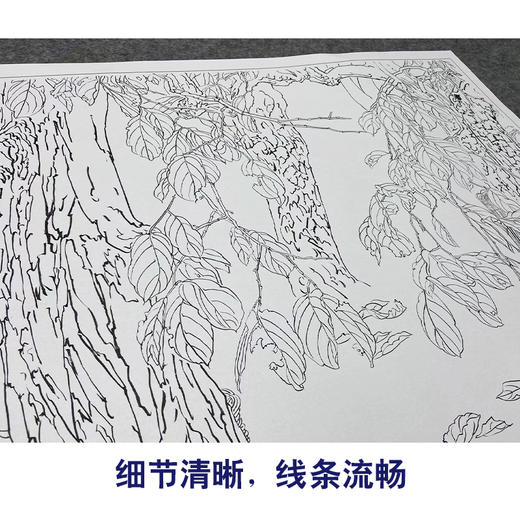 【大彩图】何家英工笔画白描底稿《十九秋》临摹勾线人物线稿ZV17 商品图4