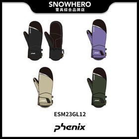 2324 PHENIX ESM23GL12 滑雪手套