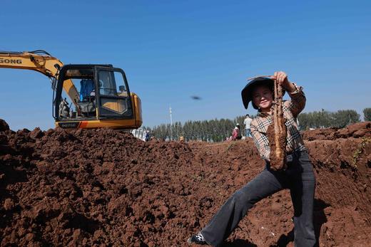 正宗熟制温县垆土铁棍山药粉 300g 即食 一冲即饮 不结块 商品图2