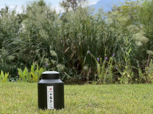 【2023秋白露】阔别1年，那带着花蜜般鲜甜的白露茶带着桂花香来了（60克罐装） 商品图0