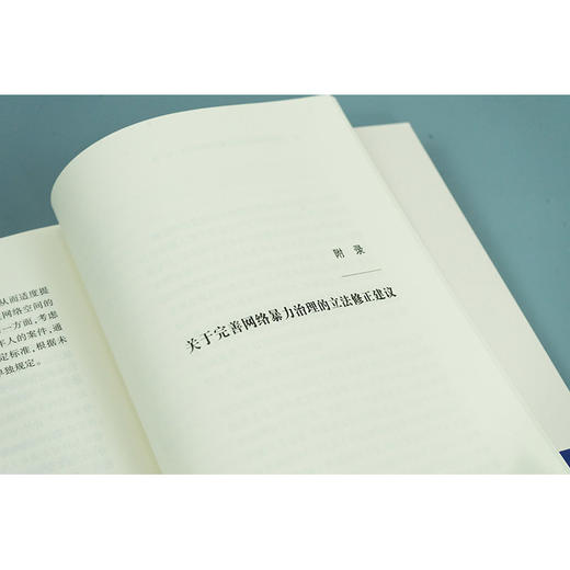 网络暴力治理法治化研究 商品图3