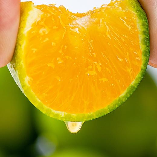 【云南·哀牢山】头茬新鲜 冰糖橙 C味橙 新鲜冰糖橙 新鲜橙子 商品图4