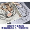 【大彩图】孟祥顺工笔画白描底稿斗方《老虎头》临摹勾线动物线稿A640 商品缩略图3