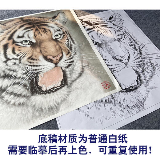 【大彩图】孟祥顺工笔画白描底稿斗方《老虎头》临摹勾线动物线稿A640 商品图3