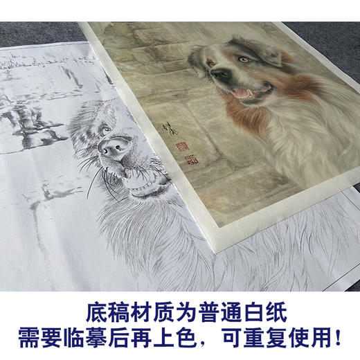 【大彩图】刘继彪工笔画白描底稿《单小狗》临摹勾线动物线稿GG08 商品图3