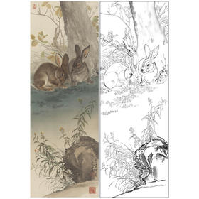 【大彩图】王生勈工笔画白描底稿《兔子》初学者临摹勾线动物线稿A653