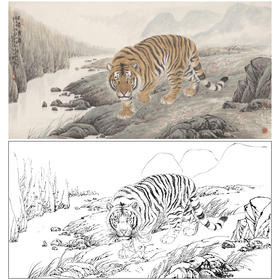 【大彩图】孟祥顺工笔画白描底稿《王者云游》老虎临摹勾线动物线稿A637