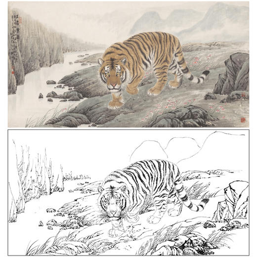 【大彩图】孟祥顺工笔画白描底稿《王者云游》老虎临摹勾线动物线稿A637 商品图0