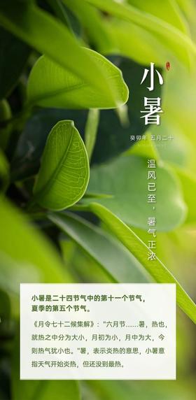 节令养生——小暑