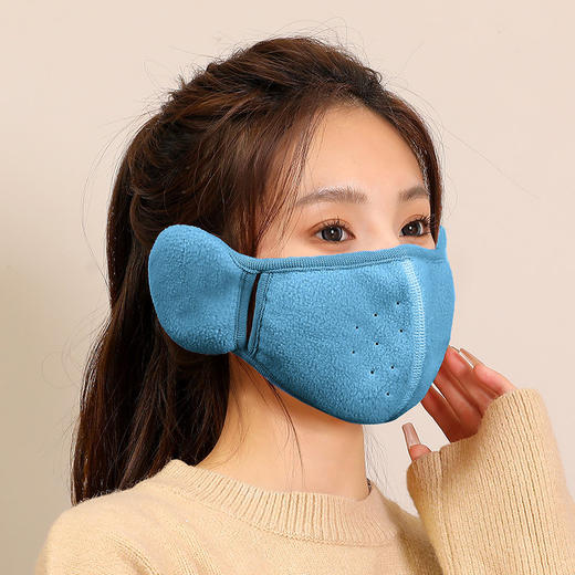 「9.9元包邮！数色可选」冬季骑车保暖女防风防寒面罩秋冬加绒加厚口罩护耳冬天骑行男配饰 商品图2