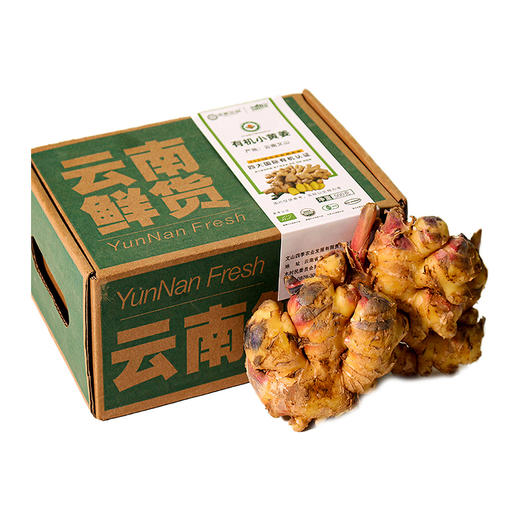 丨有机丨云南文山高山小黄姜 生姜 佰家珍品 商品图2