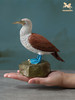 铜师傅 铜摆件《铜师傅百鸟集》之蓝脚鲣鸟 家居饰品 桌面摆件 商品缩略图4
