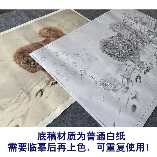 【大彩图】刘继彪工笔画白描底稿《藏獒》临摹勾线动物线稿GG09 商品图3