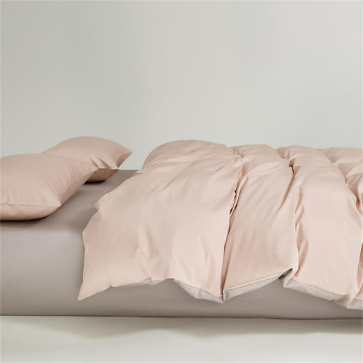 顶柔 100支黄金长绒棉四件套（200cm*230cm）[福利品] 商品图2