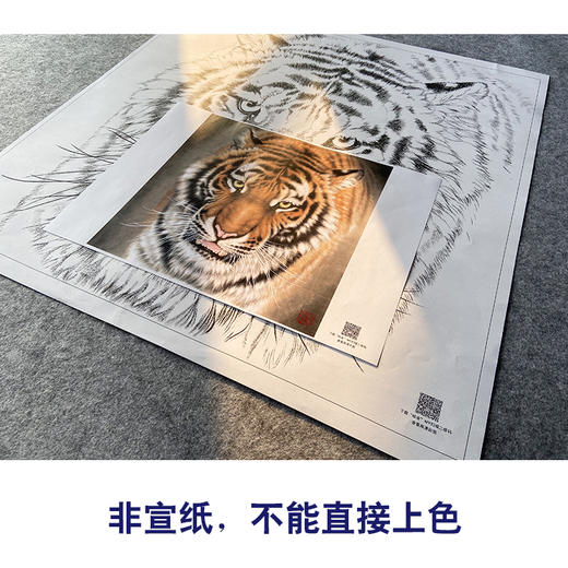 【大彩图】孟祥顺工笔画白描底稿斗方《老虎头》临摹勾线动物线稿A641 商品图2