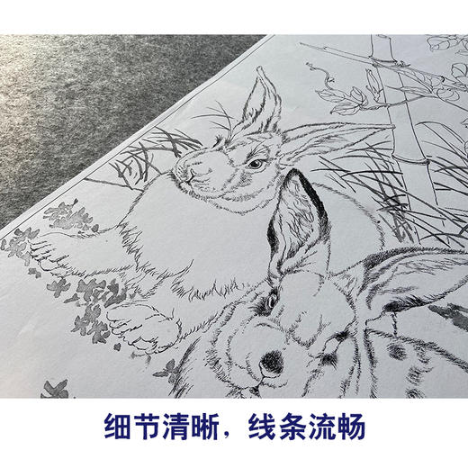 【大彩图】王生勈工笔画白描底稿《兔子》初学者临摹勾线动物线稿A652 商品图4