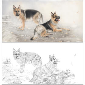 【大彩图】刘继彪横幅工笔画白描底稿《双狗》德牧临摹勾线动物线稿GG03