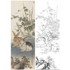【大彩图】王生勈工笔画白描底稿《兔子》初学者临摹勾线动物线稿A652 商品缩略图0