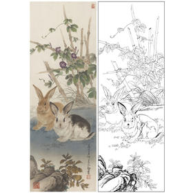 【大彩图】王生勈工笔画白描底稿《兔子》初学者临摹勾线动物线稿A652