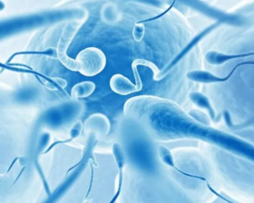 专享-男款专用-多盒更优惠