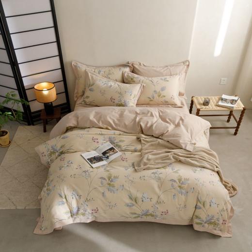 顶柔 全棉印花磨毛四件套（220cm*240cm）[福利品] 商品图0