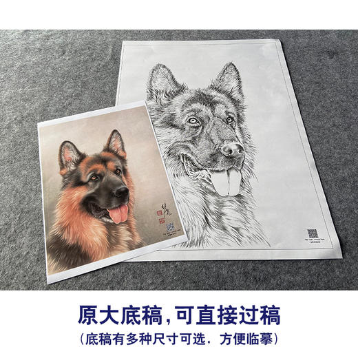 【大彩图】刘继彪工笔画白描底稿《狼狗》临摹勾线动物线稿GG07 商品图1