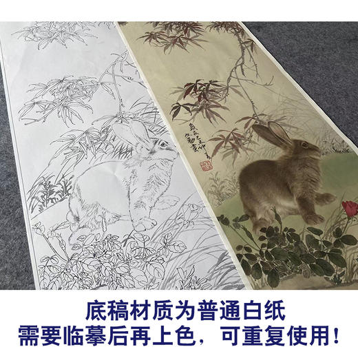 【大彩图】王生勈工笔画白描底稿《兔子》初学者临摹勾线动物底稿A651 商品图3