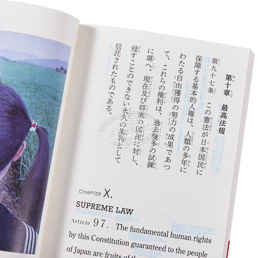 预售 【中商原版】充分感受宪法 选出69件战后艺术大师作品 松本弦人 日文原版 日本国憲法 商品图3