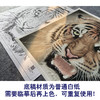 【大彩图】孟祥顺工笔画白描底稿斗方《老虎头》临摹勾线动物线稿A638 商品缩略图3