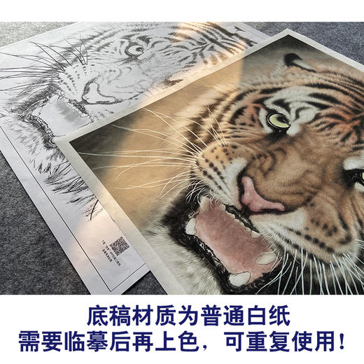 【大彩图】孟祥顺工笔画白描底稿斗方《老虎头》临摹勾线动物线稿A638 商品图3