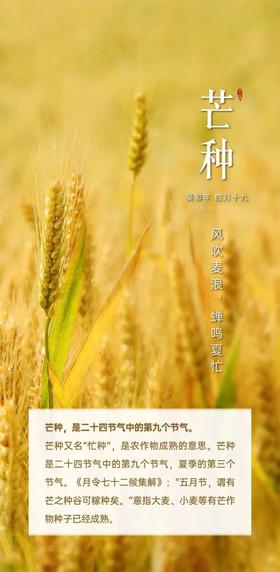 节令养生——芒种