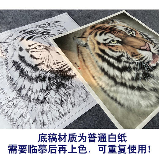 【大彩图】孟祥顺工笔画白描底稿斗方《老虎头》临摹勾线动物线稿A639 商品图3