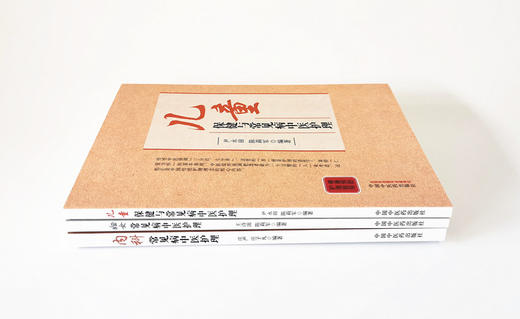 现货正版 套装 共3本 妇女保健与常见病中医护理+内科保健与常见病中医护理+儿童保健与常见病中医护理 中国中医药出版社 中医临床 商品图3