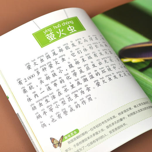 平装小百科 昆虫小百科 3-10岁 介于童书 著 科普百科 商品图3