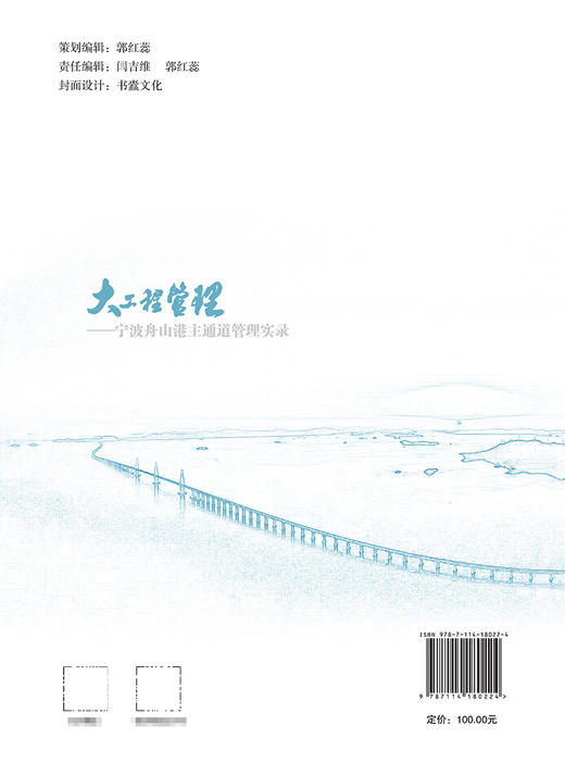 大工程管理——宁波舟山港主通道管理实录 商品图1