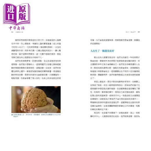 【中商原版】大脑解密手册 谁在做决策 现实是什么 为何没有人是孤岛 科技将如何改变大脑的未来 港台原版 伊葛门 天下文化 商品图3