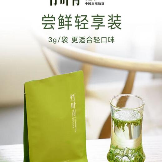 竹叶青品味绿茶 45g/袋 商品图1