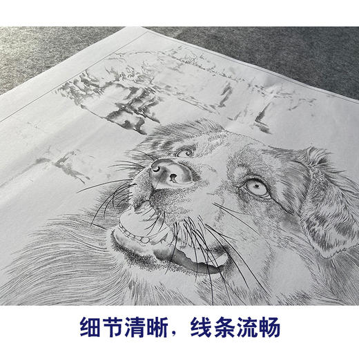 【大彩图】刘继彪工笔画白描底稿《单小狗》临摹勾线动物线稿GG08 商品图4