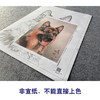 【大彩图】刘继彪工笔画白描底稿《狼狗》临摹勾线动物线稿GG07 商品缩略图2
