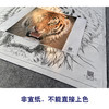 【大彩图】孟祥顺工笔画白描底稿斗方《老虎头》临摹勾线动物线稿A638 商品缩略图2