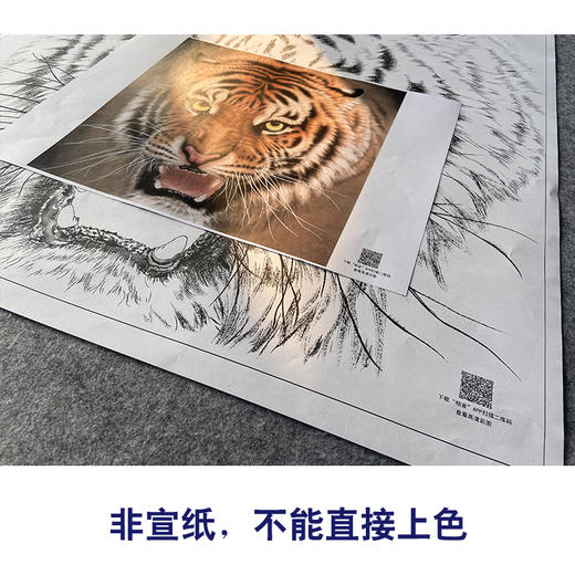 【大彩图】孟祥顺工笔画白描底稿斗方《老虎头》临摹勾线动物线稿A638 商品图2