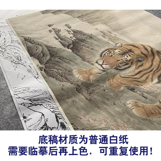 【大彩图】孟祥顺工笔画白描底稿《王者云游》老虎临摹勾线动物线稿A637 商品图3