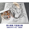 【大彩图】孟祥顺工笔画白描底稿斗方《老虎头》临摹勾线动物线稿A640 商品缩略图1