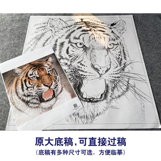 【大彩图】孟祥顺工笔画白描底稿斗方《老虎头》临摹勾线动物线稿A640 商品图1