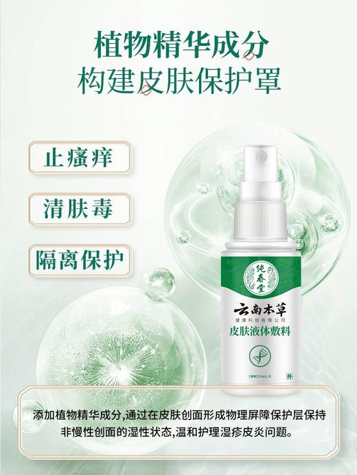 【品牌方直销】云南本草皮肤液体敷料成人痤疮膏水泡湿疹止痒去外用顽固皮炎 商品图4